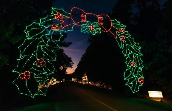 Holiday Festival of Lights Holly Berry Wreath