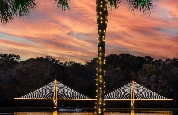 Holiday Festival of Lights