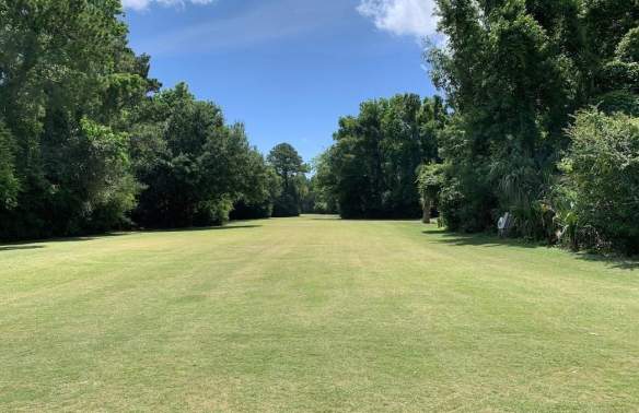 Grassy meadow in a park