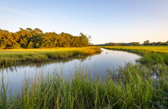 River passing fields