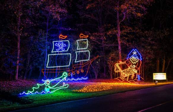 Family at the Holiday Festival of Lights