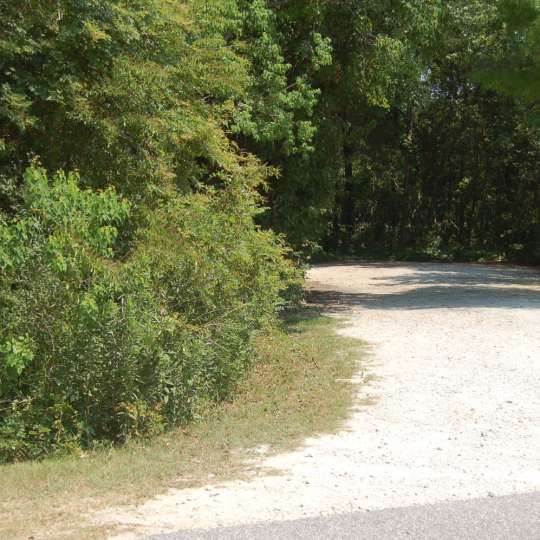 Site #125