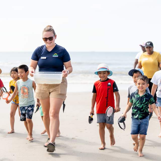 Group of preschoolers at the beach on a field trip.