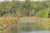 Ravenel Caw Caw Interpretive Center