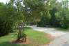 Site #35