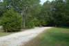 Site #54