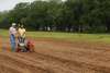 Volunteers till soil