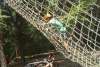 Cargo Net Climbs