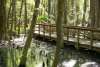 Ravenel Caw Caw Interpretive Center