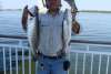 Spotted Sea Trout