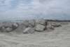 May 20 Folly Beach County Park Shore Stabilization