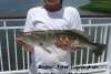21.5 inch Spotted Sea Trout