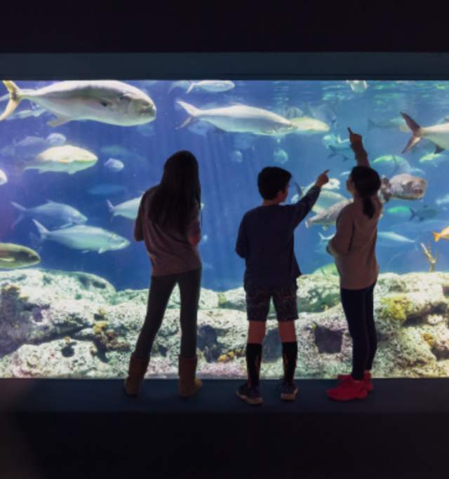 Guests attending a private event beside an aquarium exhibit in Charleston