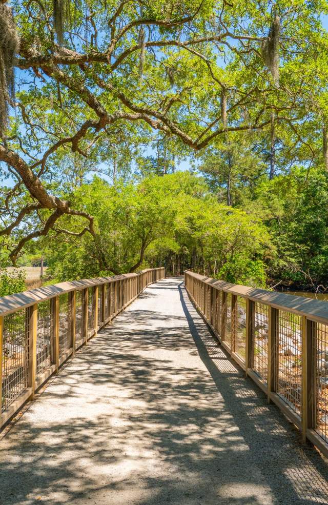 Old Towne Creek County Park Boardwalk