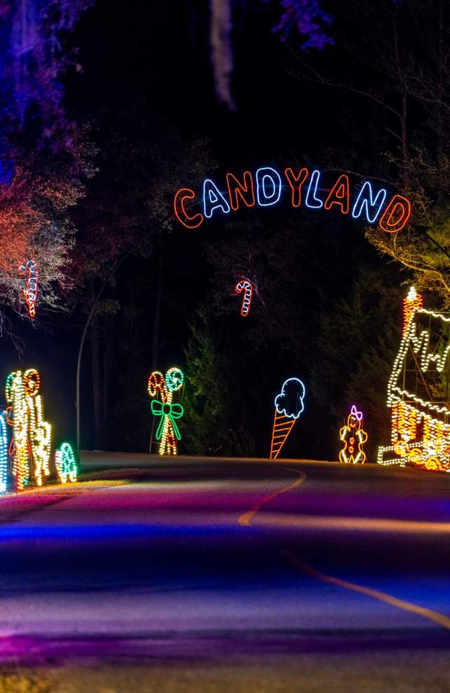 Roadway at the Holiday Festival of Lights brightly lit on both sides with brilliant holiday lights