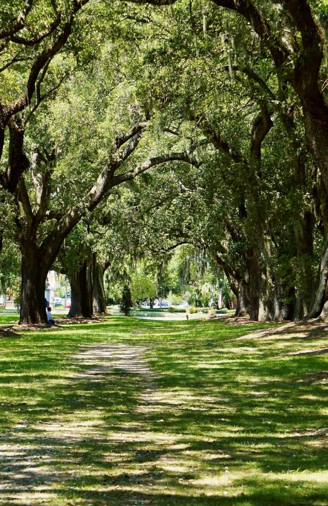McLeod Plantation Historic Site