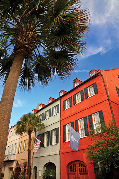buildings with flags and a palm tree