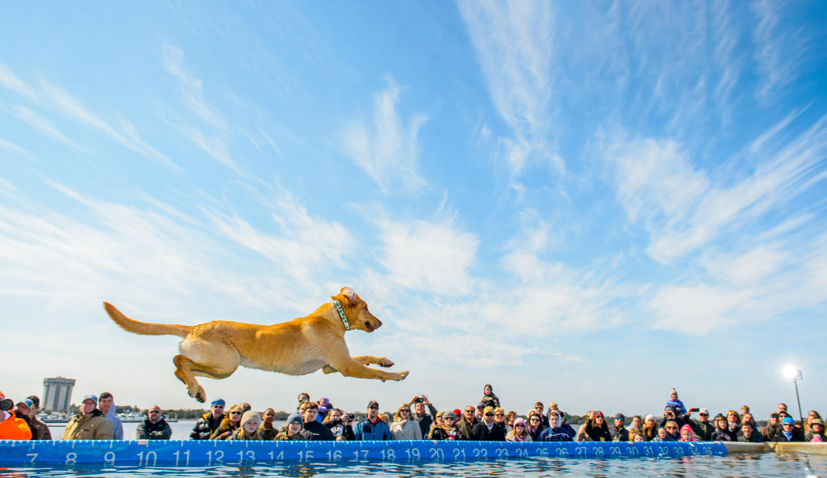 Charleston, SC Events Calendar | Festivals & Annual Events