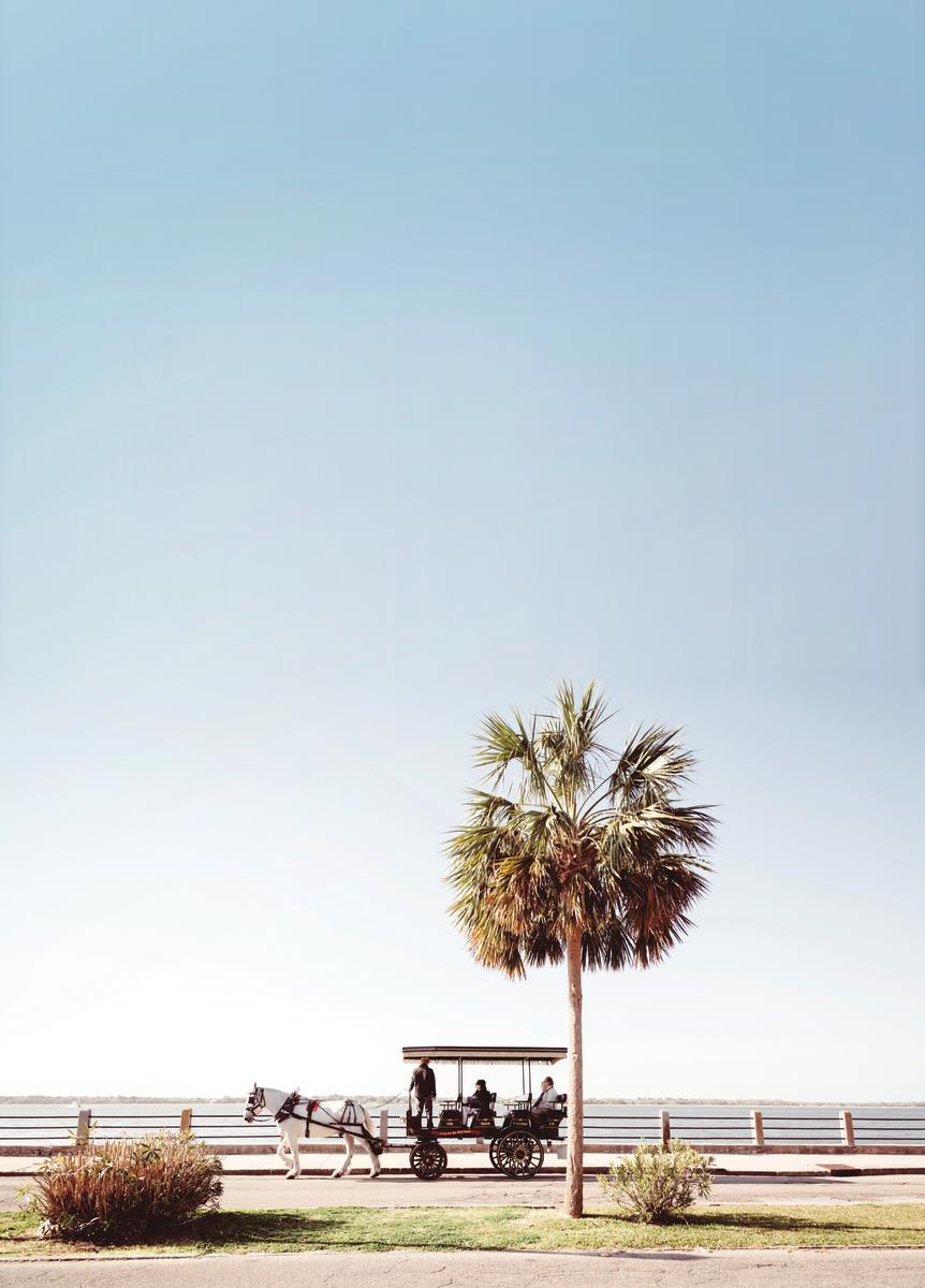 Team Building Activities | Things to Do in Charleston