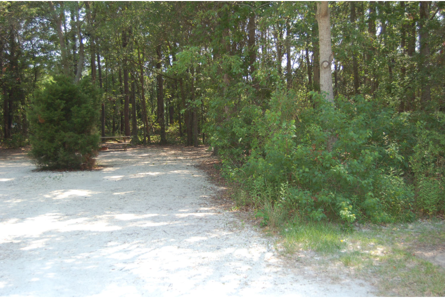 Site #100