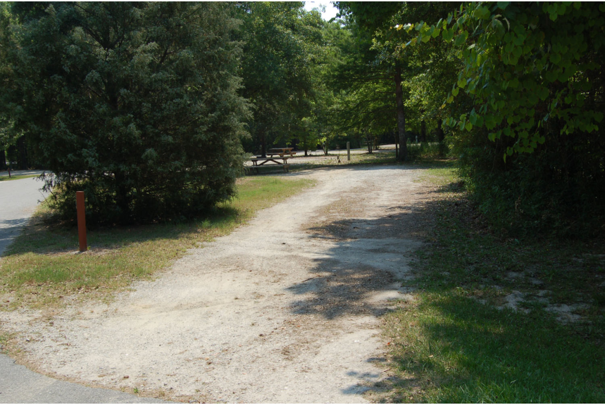 Site #105