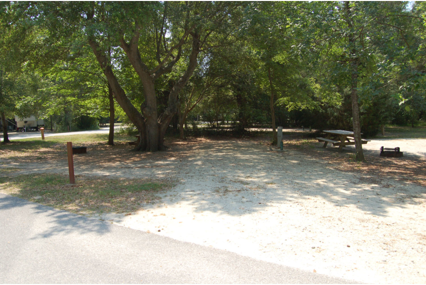 Site #109