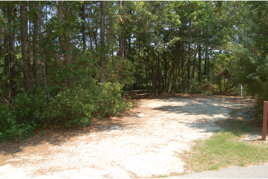 Site #110