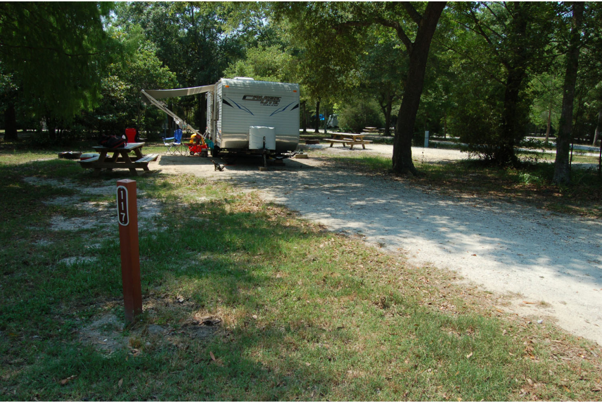 Site #117