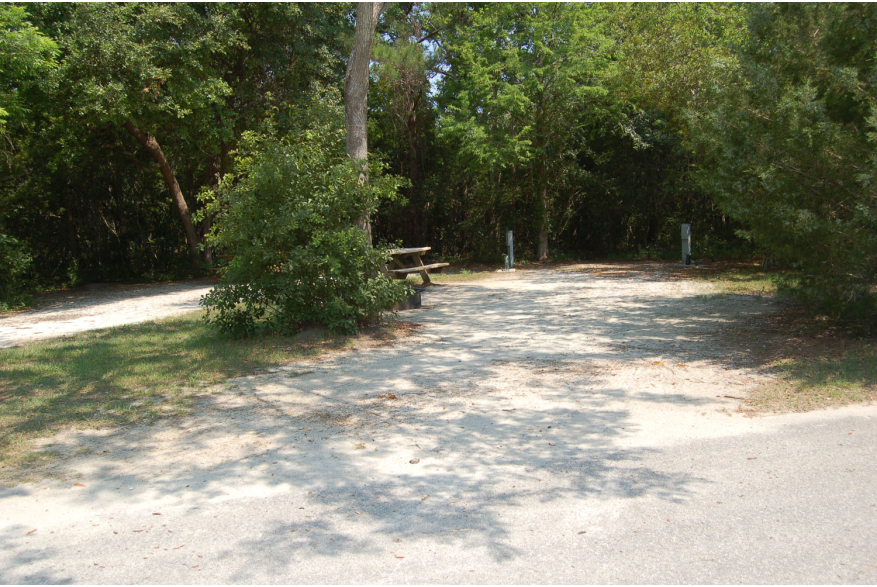 Site #118