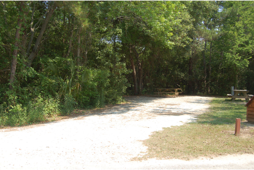 Site #119