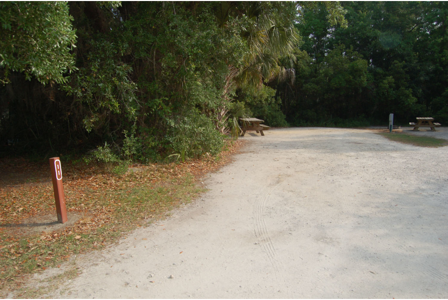 Site #11
