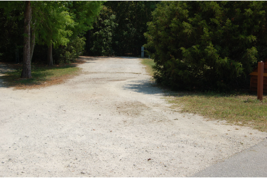 Site #124