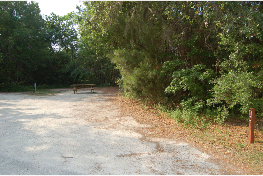 Site #19