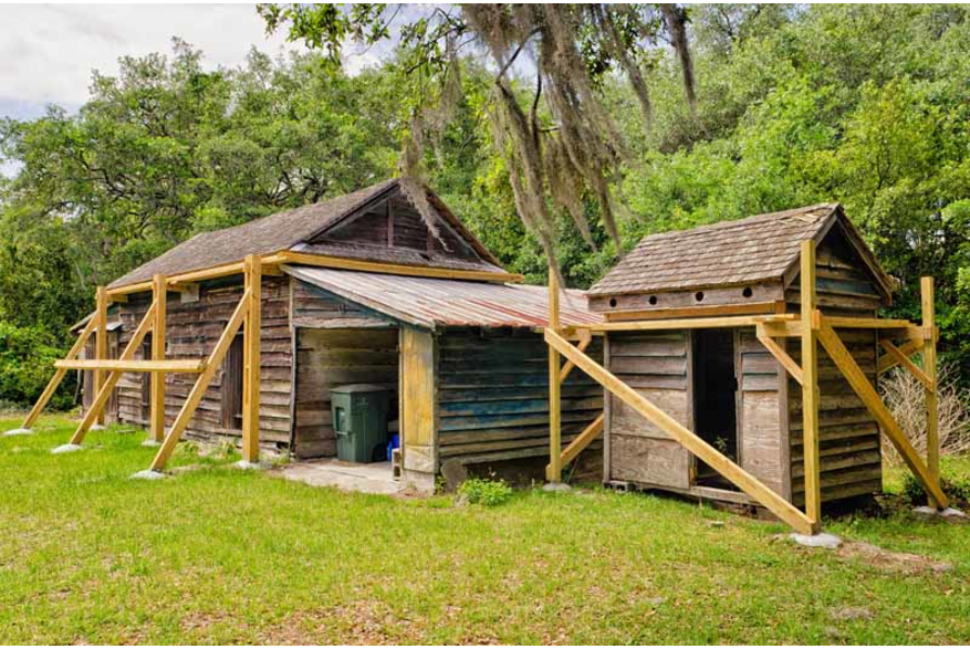 McLeod Plantation