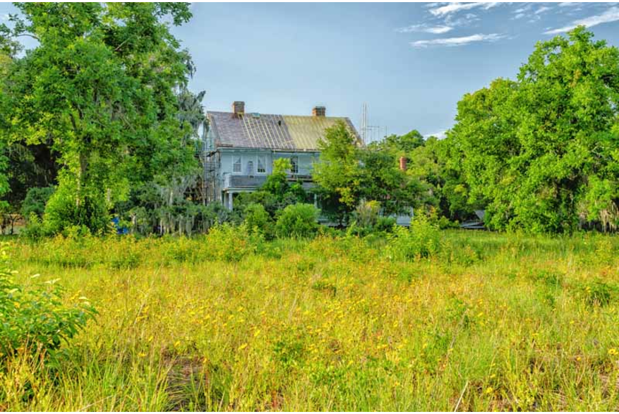 McLeod Plantation