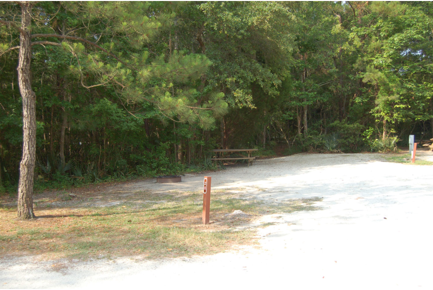 Site #20