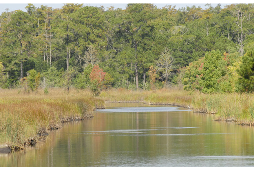 Ravenel Caw Caw Interpretive Center