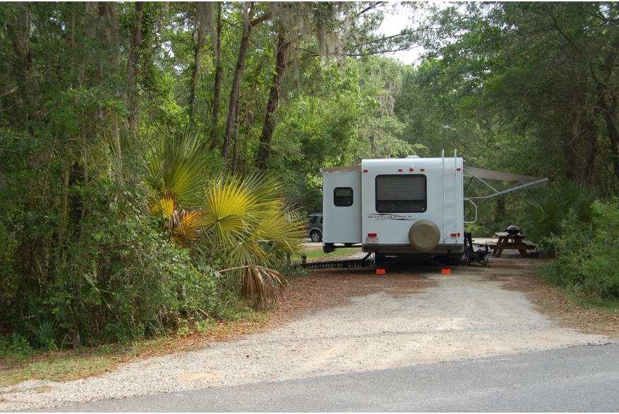 Site #31