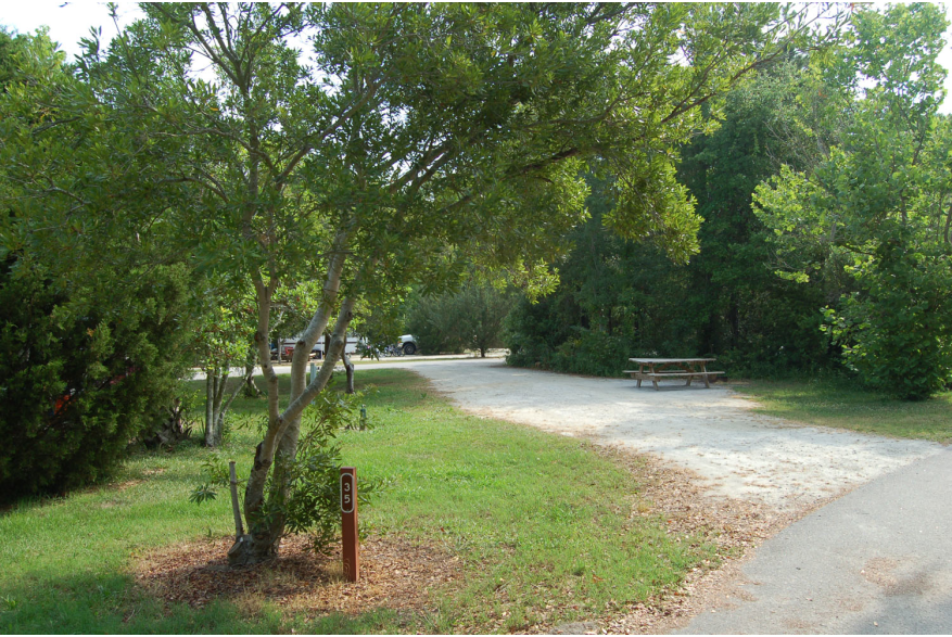 Site #35