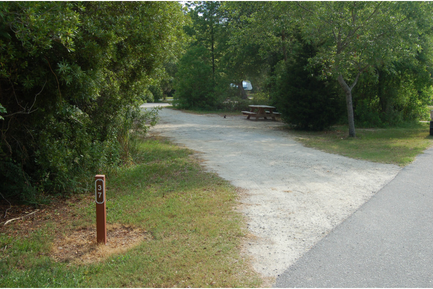 Site #37