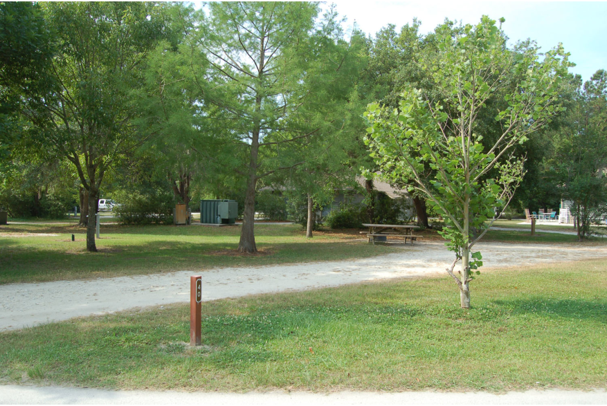 Site #40