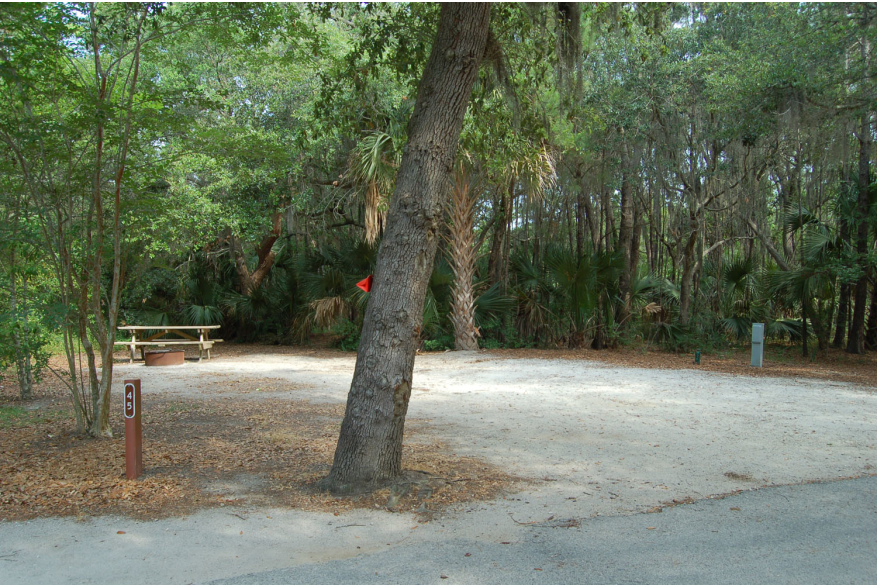 Site #45