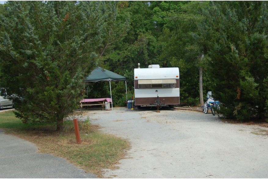 Site #50