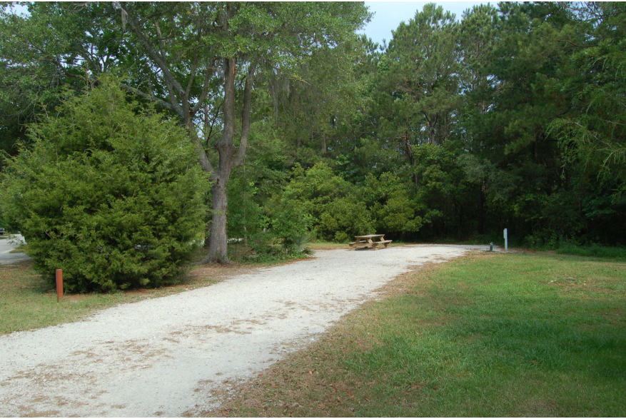Site #54