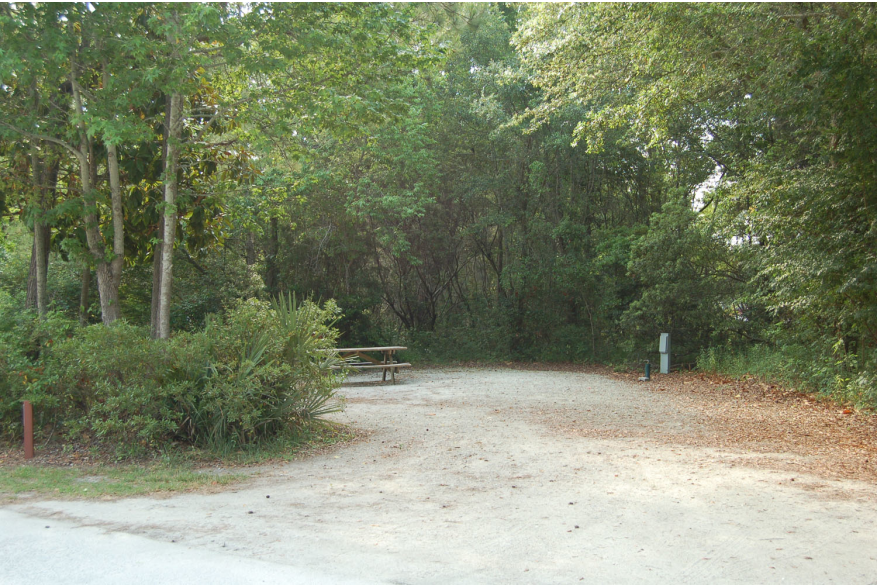 Site #5