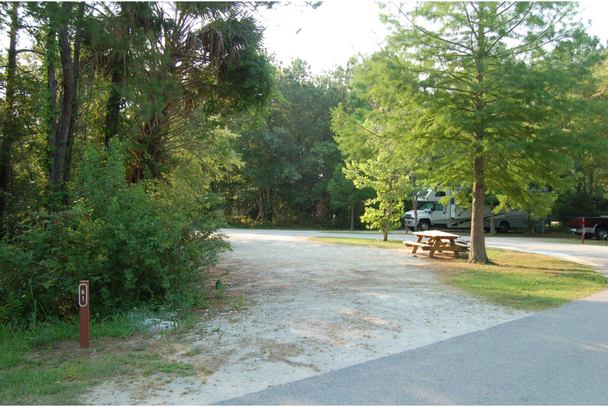 Site #61