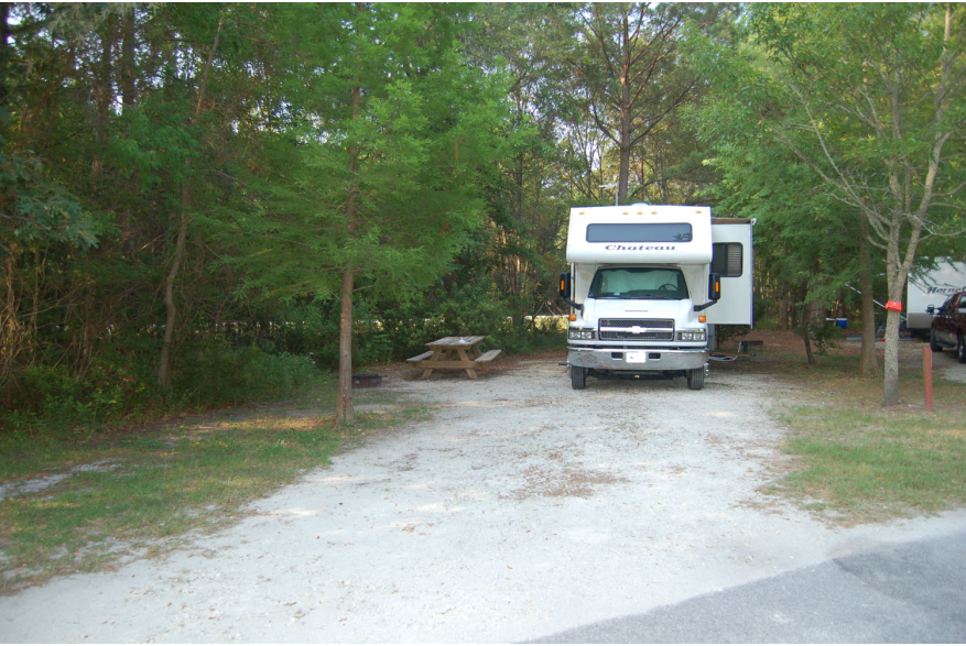 Site #65