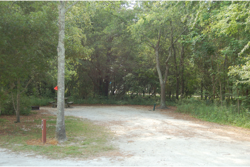 Site #6