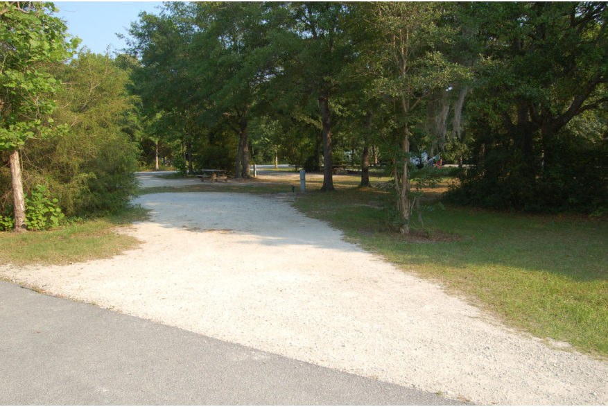 Site #77