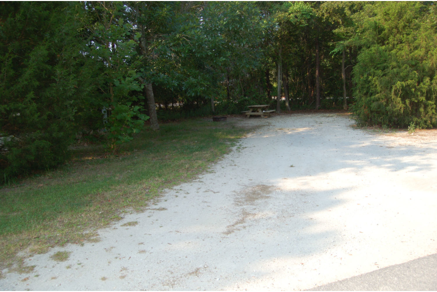 Site #79